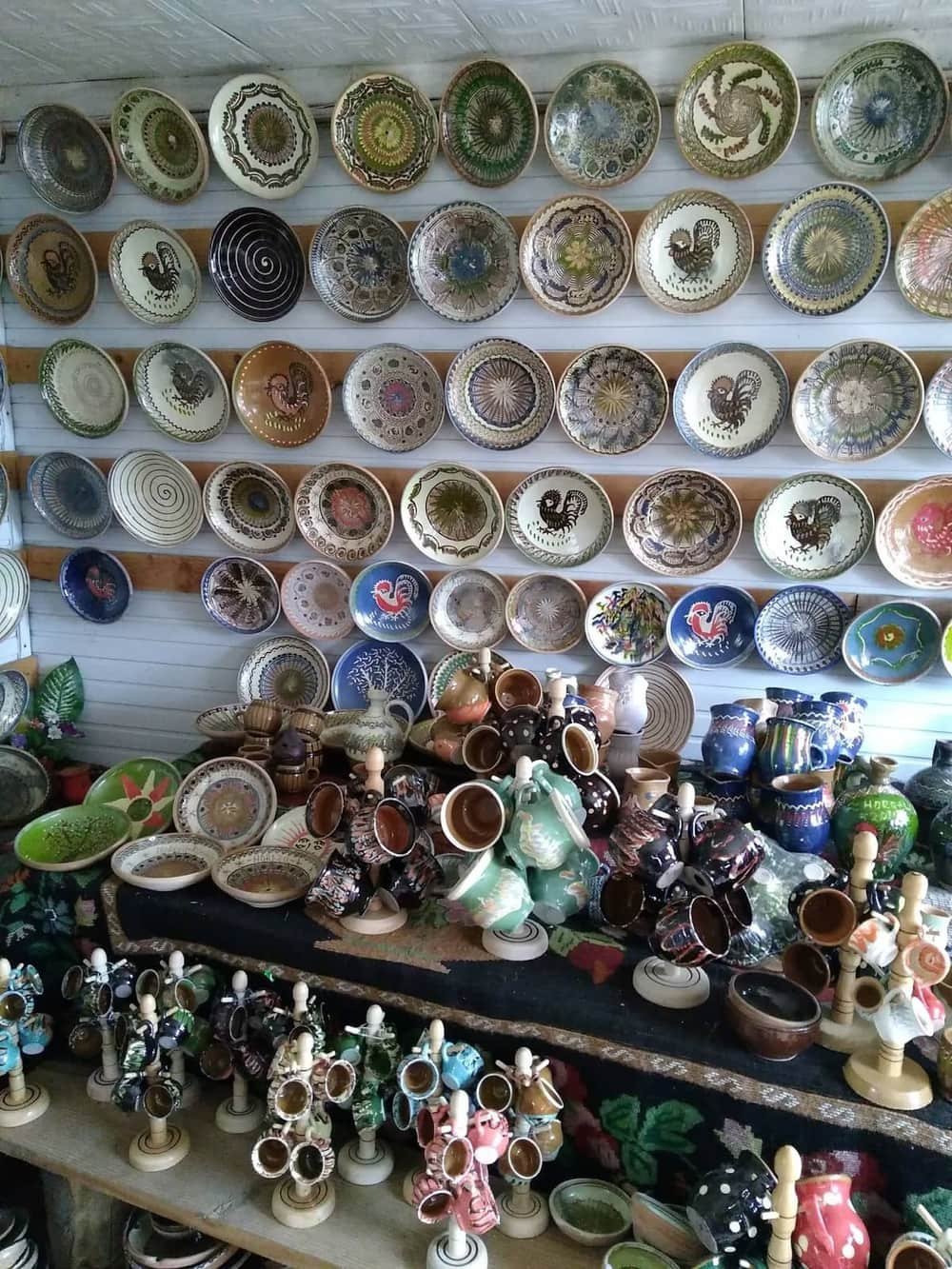 Muzeul Vicșoreanu