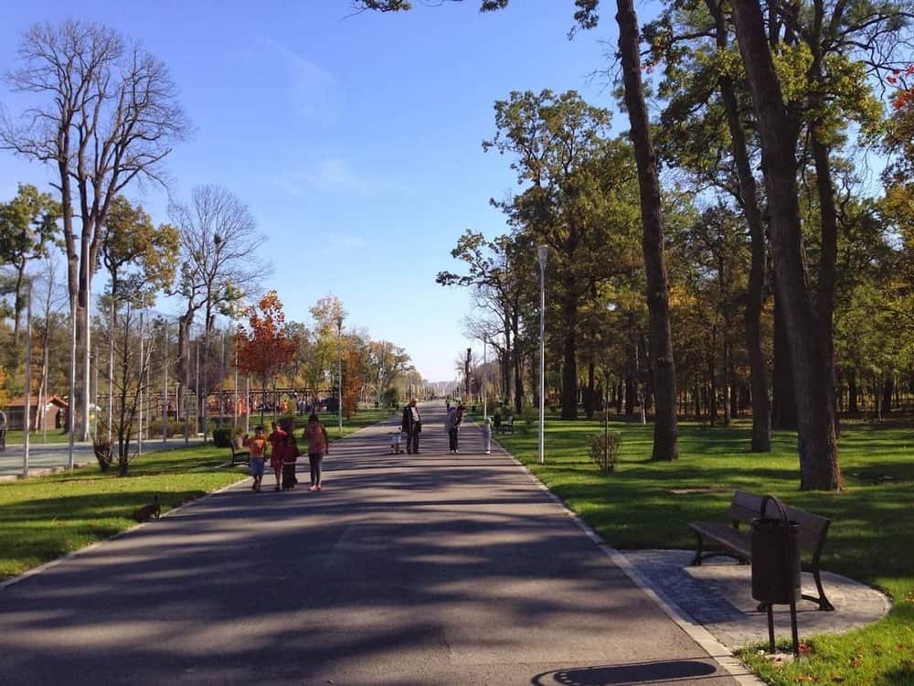 Parcul Tineretului — 2