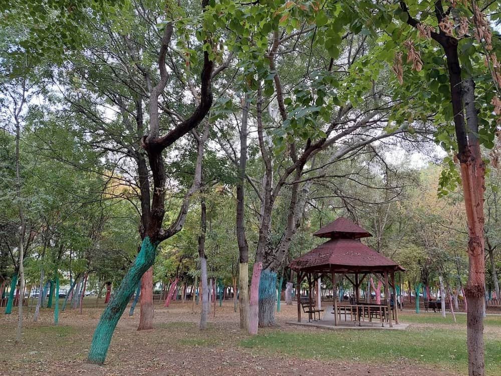 Parcul Puskin — 2