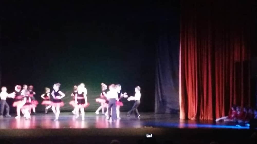 Teatrul pentru Copii și Tineret „Colibri” — 3