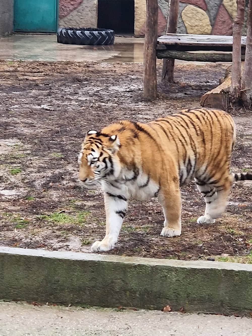 Grădina Zoologică Craiova — 3