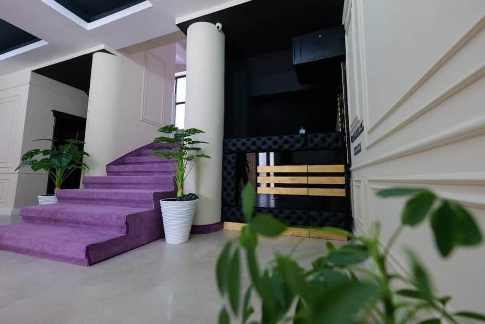 Hotel Villa Ovidiu